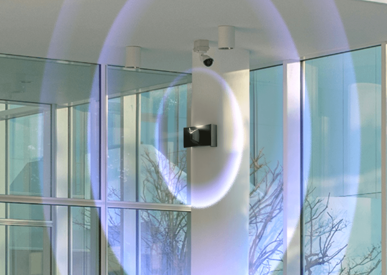 Security device mounted for protection